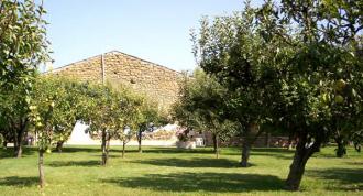 Exterieur/013_verger_5.jpg